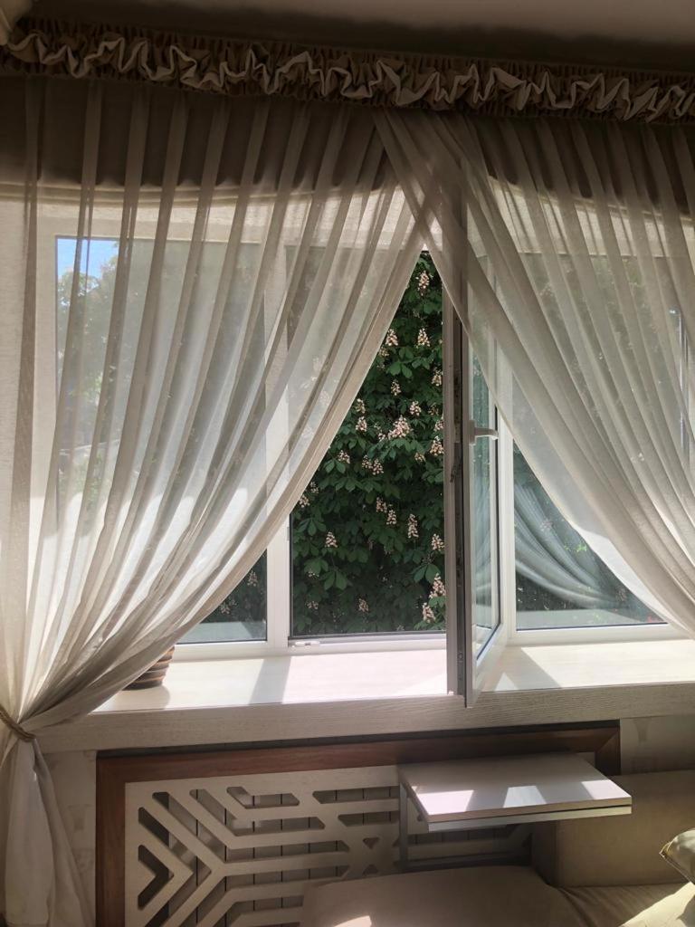 Cozy Studio Apartment In The Center Of ריגה מראה חיצוני תמונה